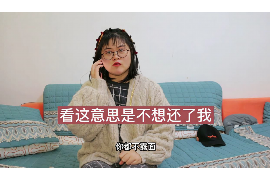 澧县企业清欠服务